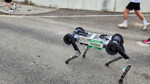 Güney Kore'de maraton koşan robot geliştirildi