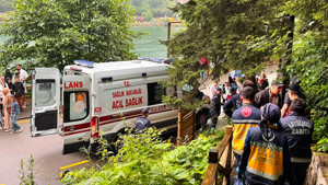 Uzungöl'de seyir terasından araç uçtu: