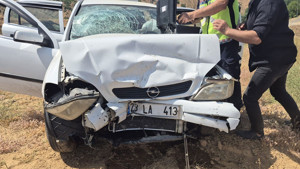 Bingöl’de trafik kazası: 8 yaralı