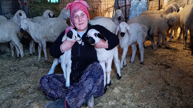 Şehir merkezinde yaşarken köye yerleşip çoban oldu